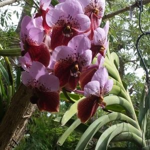 Meet your Posher, Diane